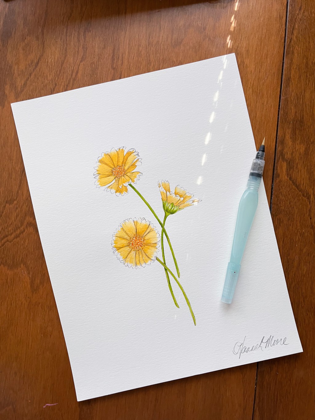 California Tidy Tips&nbsp;Artwork